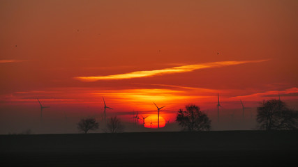 Wind turbines stand tall against the rising sun at dawn, with a cloudless sky and the golden orb of the sun peeking over the horizon. A serene moment showcasing the power of renewable energy.