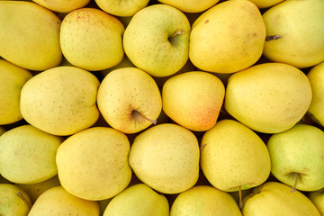 Lots of Yellow ripe apples background