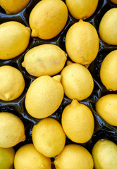 a lot of yellow lemons for the background