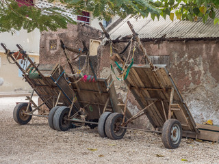 Cart with the horse, Senegal