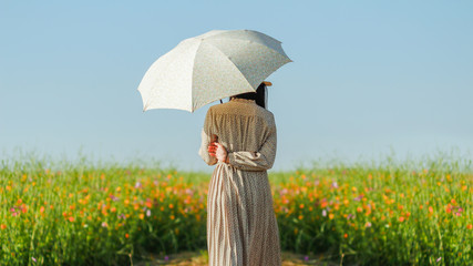 A young female tourist holds a parasol to see the vast and colorful cosmos flower field, The beautiful cosmos flower field is popular with tourists and couples who take pictures together. © thatinchan
