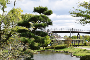 Fototapeta premium 茨城県水戸市 偕楽園