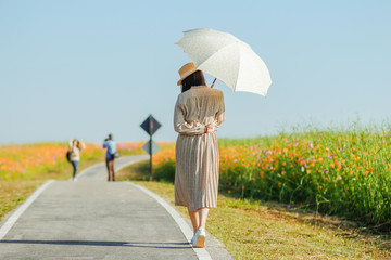 A surfer wearing a vintage dress carrying a sun umbrella traveling in the cosmos flower field to...