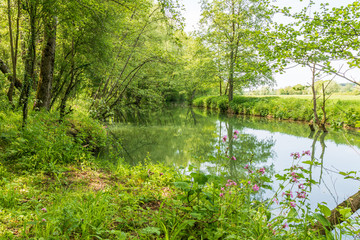 La Liane à Carly - Pas-de-Calais