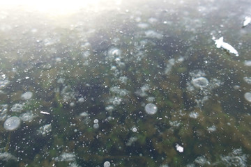 Frozen lake in the winter. Ice cover on the lake. Winter background