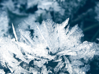 Fototapeta premium winter background with snowflakes crystals patterns and snow on frozen grass