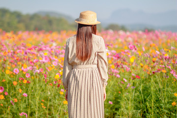 The girl is praying to God with faith and the power of faith in God on the background of the morning sun rising over the fields of colorful cosmos flowers. Concepts and power of faith toward God