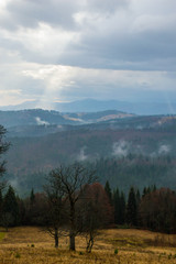 Autumn landscape background in the rain weather with fog
