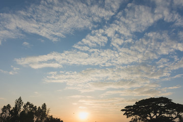 The silhouette of the tree, the bright orange sky and the light of the sun