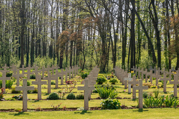 Tombes françaises au Mémorial franco-britannique de Thiepval (Somme)