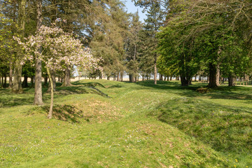 Vestiges de tranchées dans le Parc Mémorial de Beaumont-Hamel