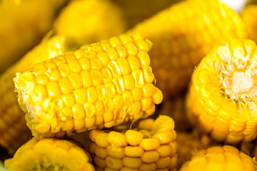 Corn on the cob in a bowl cooked