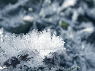 winter background with snowflakes crystals patterns and snow on frozen grass