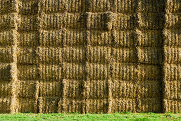 sheaves of hay stacked into wall on the field in england uk on a sunny day