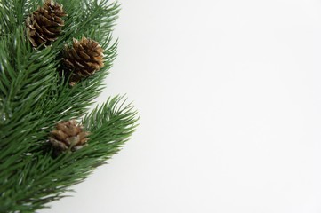 Fototapeta na wymiar christmas tree branch with cones