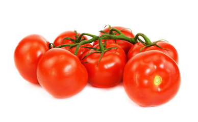 Bunch of red tomatoes on a green twig on an isolated background