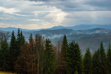 Autumn landscape background in the rain weather with fog