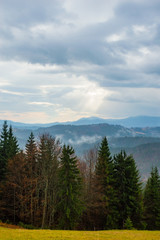 Autumn landscape background in the rain weather with fog