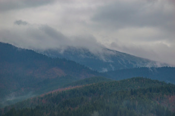 Autumn landscape background in the rain weather with fog