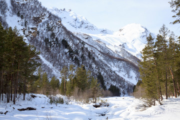 Winter snow forest landscape and river Baksan on mountain Elbrus, ski resort, the Republic of Kabardino-Balkaria, Russia.