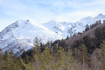 Obraz premium Winter snow forest landscape on mountain Elbrus, ski resort, the Republic of Kabardino-Balkaria, Russia.