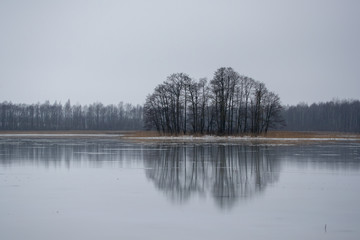 reflection of trees in water