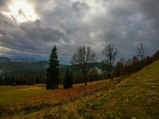 Autumn landscape background in the rain weather with fog