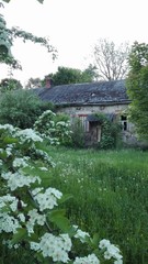 old house in the garden