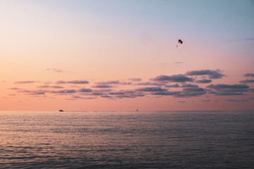 birds flying in the sky, batumi, Black sea