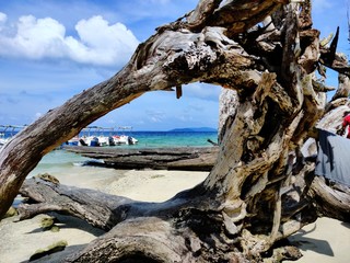 Fototapeta premium rock and sea