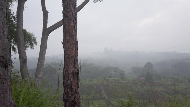 Fog in the mountains of Papua New Guinea, Goroka.