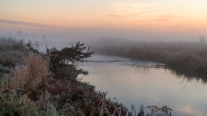 Mgły i szron o poranku, Rzeka Narew, Narwiański Park Narodowy, Podlasie, Polska © podlaski49