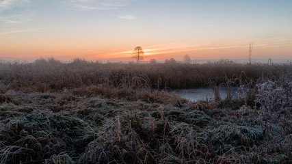 Mgły i szron o poranku, Rzeka Narew, Narwiański Park Narodowy, Podlasie, Polska © podlaski49