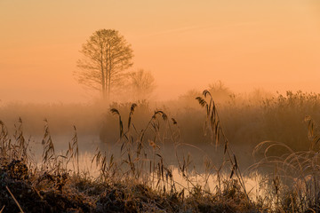 Mgły i szron o poranku, Rzeka Narew, Narwiański Park Narodowy, Podlasie, Polska © podlaski49