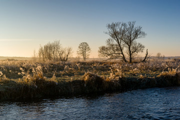 Mgły i szron o poranku, Rzeka Narew, Narwiański Park Narodowy, Podlasie, Polska