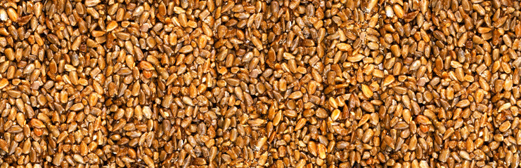 Sunflower Seeds in honey. Background. Texture. Kazinaki.