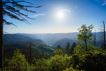 Yosemite Valley Panorama in Yosemite National Park, California