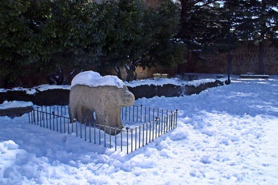 Escultura Romana de Piedra, Verraco en la Plaza Adolfo Suárez de Ávila (España), un día nevado y soleado de invierno.