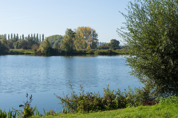 Etangs du Romelaëre - Etangs du Romelaëre, réserve naturelle nationale