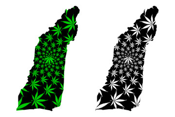 Helmand Province (Islamic Republic of Afghanistan) map is designed cannabis leaf green and black, Hillmand (Helman, Hermand, Hethumand) map made of marijuana (marihuana,THC) foliage....