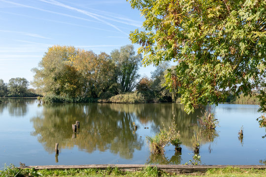 Les étangs du Romelaëre à l'automne