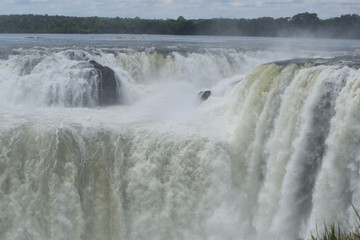 Fototapeta premium イグアスの滝 