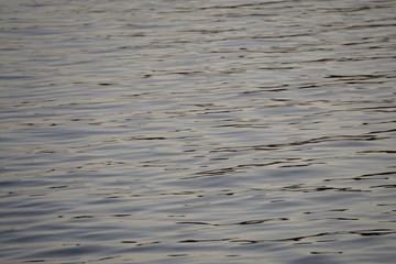 ripples on water