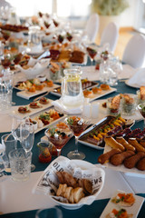 Naklejka premium Food served on table in a white hall during a Birthday party in Eastern European Baltic Riga Latvia - Blue and teal colors - Canape, snacks and light drinks