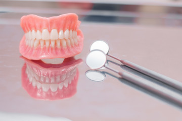Fototapeta na wymiar Two dentures. Instruments and dental hygienist checkup concept with teeth model dentures and mouth mirror. Regular dentist checkups