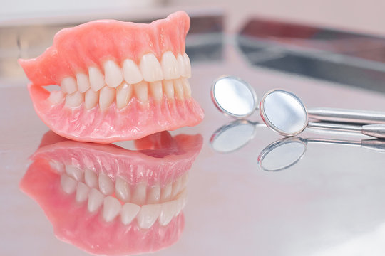 Two dentures.  Instruments and dental hygienist checkup concept with teeth model dentures and mouth mirror. Regular dentist checkups