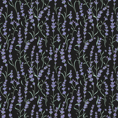 Beautiful Provence lavender digital illustration. Pattern for fabrics, packaging design, or wrapping paper. Seamless pattern with lavender flowers on black background.