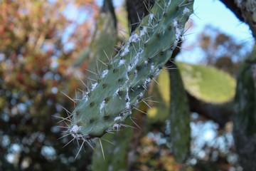 A  amazing landscape whit a river 