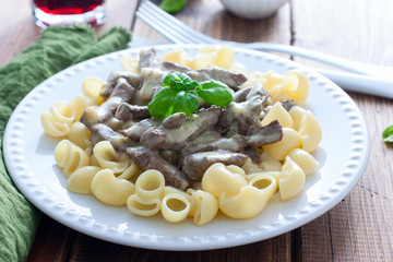 Beef pastry stroganoff with pasta, selective focus