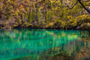 Beautiful pond in Jiuzhaigou national park on a sunny autumn day,